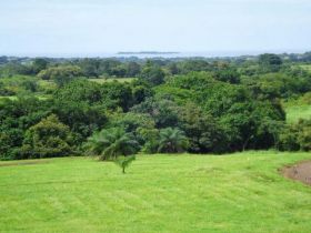 Green field at Equus Village, Pedasi Panama – Best Places In The World To Retire – International Living