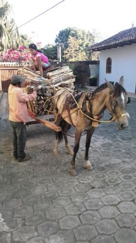 Darrell Bushnell Nica Nuggets horse and cart Granada – Best Places In The World To Retire – International Living