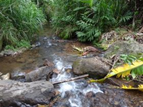 Hiking in the mountains of Nicaragua – Best Places In The World To Retire – International Living