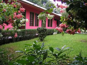 gardener in Nicaragua – Best Places In The World To Retire – International Living