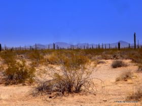 Desert scene in El Pinacate Reserve – Best Places In The World To Retire – International Living