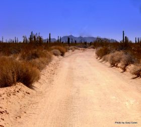 Dirt road in El Pinacate – Best Places In The World To Retire – International Living