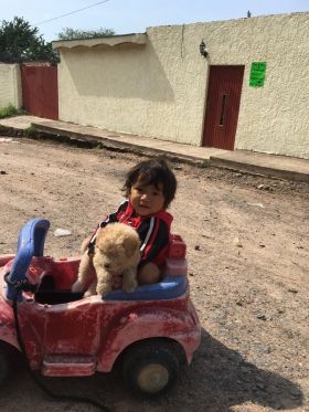 Child in the street with toy car and puppy in Jocotepec – Best Places In The World To Retire – International Living