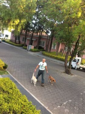 Chuck Bolotin walking dogs near MM Hotel, Puebla, Mexico – Best Places In The World To Retire – International Living