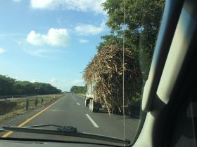 Following sugarcane truck in Veracruz, Mexico – Best Places In The World To Retire – International Living