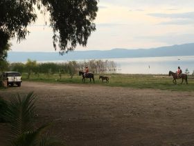 Horses by the lake in Ajijic – Best Places In The World To Retire – International Living