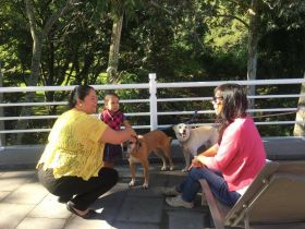 Dogs on the patio of hotel in Cordoba, Mexico, with Jet Metier – Best Places In The World To Retire – International Living
