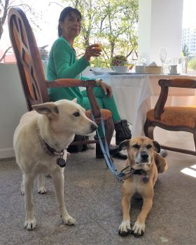 Jet Metier with two dogs at a restaurant in Puebla – Best Places In The World To Retire – International Living