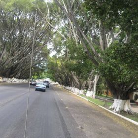 Street with cars in Ajijic – Best Places In The World To Retire – International Living