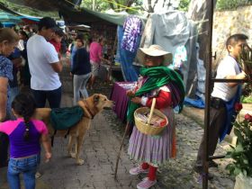 Tuesday Market in Ajijic – Best Places In The World To Retire – International Living
