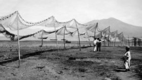 Fishing nets used in Ajijic, Mexico in the 1950s – Best Places In The World To Retire – International Living