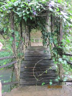 Covered wooden bridge at Altos del Maria, Panama – Best Places In The World To Retire – International Living