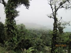 Altos del Maria, Panama jungle mist – Best Places In The World To Retire – International Living