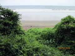 View of Playa Venao Beach from the jungle, near Pedasi, Panama – Best Places In The World To Retire – International Living