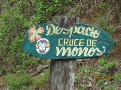 Sign for monkey crossing in Playa Venao, near Pedasi, Panama – Best Places In The World To Retire – International Living