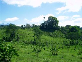 A finca or rural estate in Chirqui province, Panama