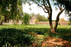 A hacienda outside of San Miguel de Allende, Mexico – Best Places In The World To Retire – International Living