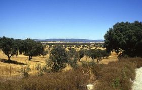 Alentejo, Portugal – Best Places In The World To Retire – International Living