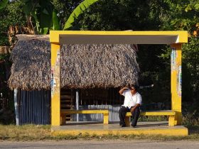 Bus stop with a thatched roof, Yucatan, Mexico – Best Places In The World To Retire – International Living