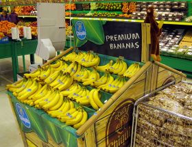  Chiquita bananas from Changuinola, Panama – Best Places In The World To Retire – International Living