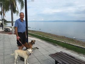 Chuck Bolotin of Best Places walking his dogs on the malecon, Ajijic, Mexico – Best Places In The World To Retire – International Living
