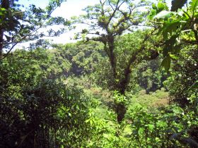 Cloud forest in Mombacho, Nicaragua – Best Places In The World To Retire – International Living