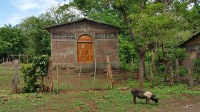 Countryside scenery in Ometepe, Nicaragua – Best Places In The World To Retire – International Living