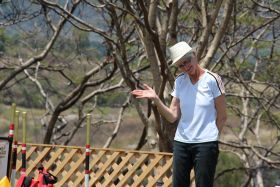 Dog agility participant at Hotel Perico, Lake Chapala, Mexico – Best Places In The World To Retire – International Living