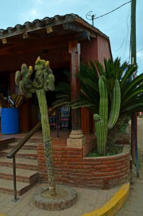 El Quilete, near Mazatlan,  Mexico – Best Places In The World To Retire – International Living