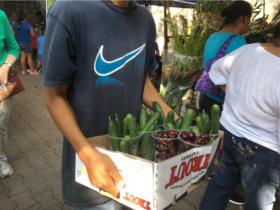 Fresh produce, Lake Chapala, Mexico – Best Places In The World To Retire – International Living