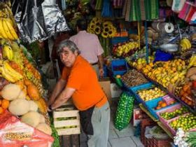 Fruit and vegetable stall in San Miguel de Allende, Mexico – Best Places In The World To Retire – International Living