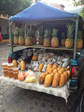 Fruit stall on the back of a truck, Puerto Vallarta, Mexico – Best Places In The World To Retire – International Living