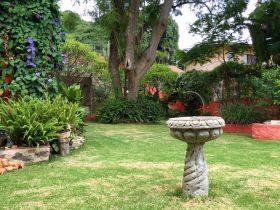 Garden in Ajijic, Mexico – Best Places In The World To Retire – International Living