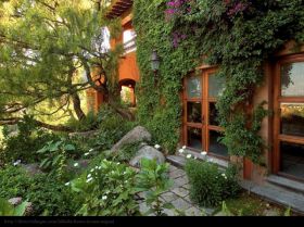 Garden in San Miguel de Allende, Mexico – Best Places In The World To Retire – International Living