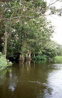 Guatuzos Wildlife Refuge, Nicaragua – Best Places In The World To Retire – International Living