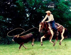 Horseback rider lassoing a calf, Panama – Best Places In The World To Retire – International Living