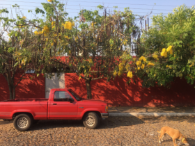 June in Lake Chapala, Mexico – Best Places In The World To Retire – International Living