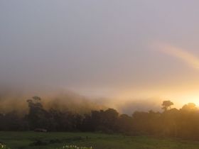 Biosphere in the Volcan Baru National Park, Panama – Best Places In The World To Retire – International Living