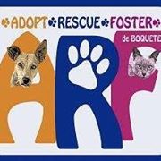 Logo for Adopt Rescue Foster, Boquete, Panama – Best Places In The World To Retire – International Living