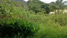 Lot in La Floresta, Ajijic, Mexico – Best Places In The World To Retire – International Living