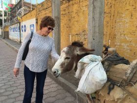 Mary Steele petting a burro in San Juan Cosala, Ajijic, Mexico – Best Places In The World To Retire – International Living