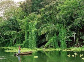 Panamanian jungle – Best Places In The World To Retire – International Living