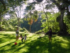 Playing by the river at Black Orchid Resort, Burrell Boom Village, Belize – Best Places In The World To Retire – International Living
