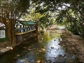 Restaurant on Rio Cuale, Puerto Vallarta, Mexico – Best Places In The World To Retire – International Living