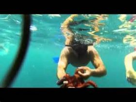 snorkeling at Islas Marietas near Puerto Vallarta, Mexico – Best Places In The World To Retire – International Living
