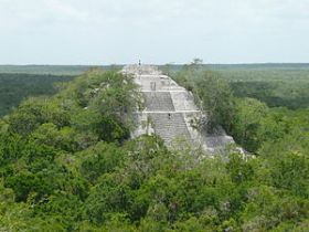 The jungle overcoming Temple Calakmul, Mexico – Best Places In The World To Retire – International Living