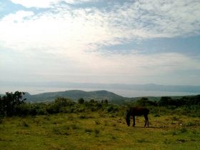 The views around Hotel Perico, Lake Chapala, Mexico – Best Places In The World To Retire – International Living