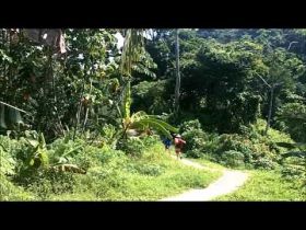 Forest home of the Ngäbe-Buglé, Panama – Best Places In The World To Retire – International Living
