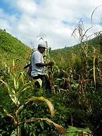 Belizean farmer, Belize – Best Places In The World To Retire – International Living