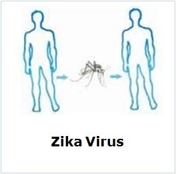 Zika virus can spread sexually, person to person, – Best Places In The World To Retire – International Living